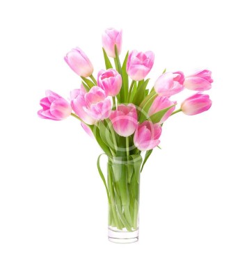 Pink Tulip Bouquet